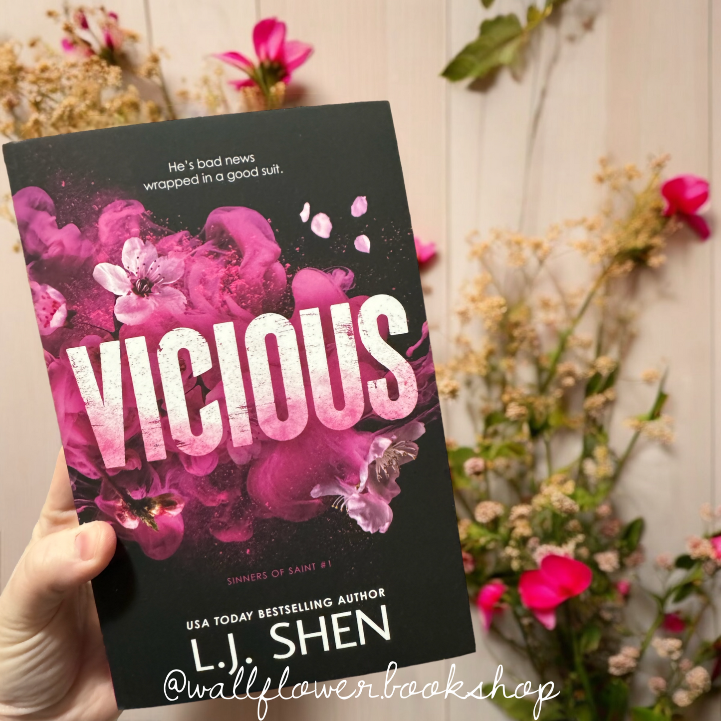 Vicious- LJ Shen