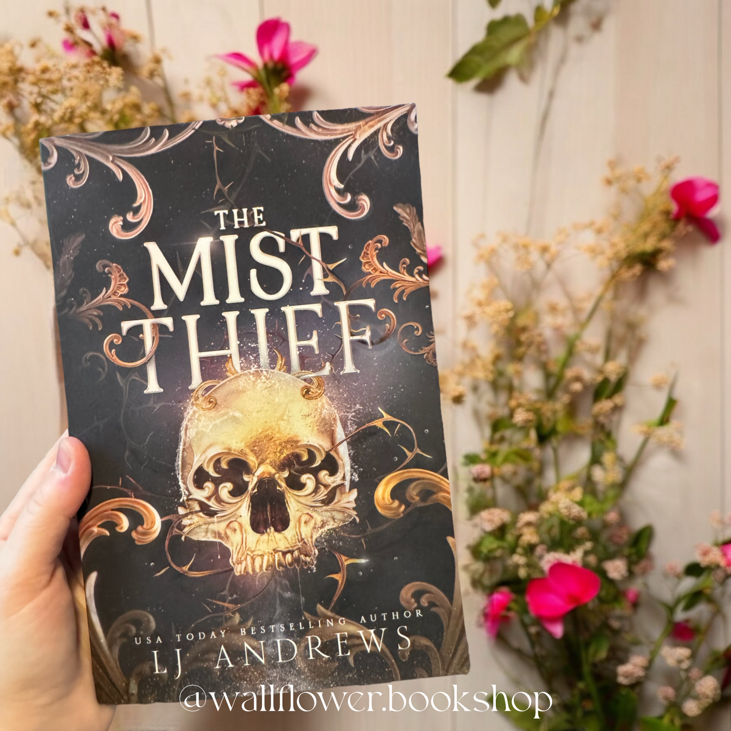 The Mist Thief- LJ Andrews